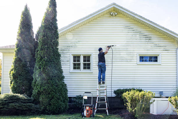 Best Roof Washing  in Somerville, TX